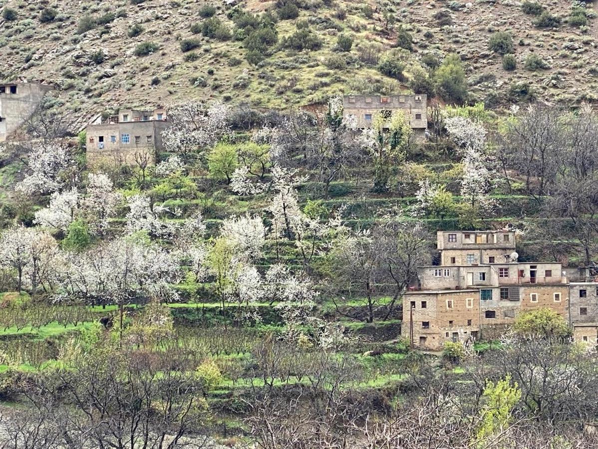 Amlougui House Bed & Breakfast Asgaour Exterior foto